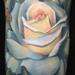 Tattoos - realistic colored rose tattoo, Tim McEvoy Art Junkies Tattoo - 79656